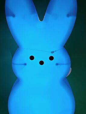 PEEPS® 10" Bunny LED Light